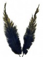 /album/accesorios/a0638-jpg/