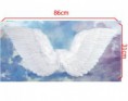 /album/accesorios/alas-20blancas-4491-jpg/